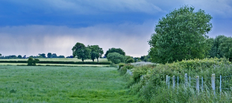 fields