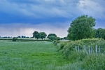 fields