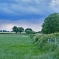 fields