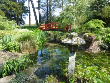 Gatton Park Japanese Garden